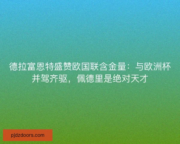 德拉富恩特盛赞欧国联含金量：与欧洲杯并驾齐驱，佩德里是绝对天才