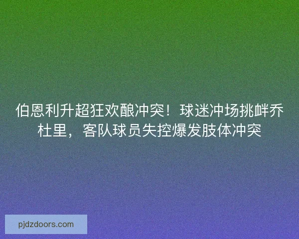 伯恩利升超狂欢酿冲突！球迷冲场挑衅乔杜里，客队球员失控爆发肢体冲突