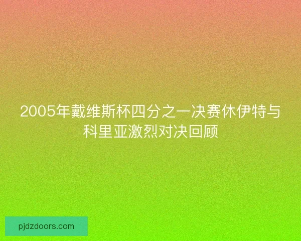 2005年戴维斯杯四分之一决赛休伊特与科里亚激烈对决回顾