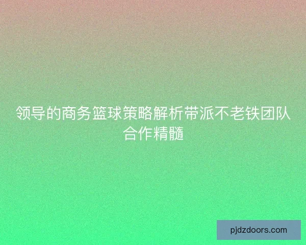 领导的商务篮球策略解析带派不老铁团队合作精髓