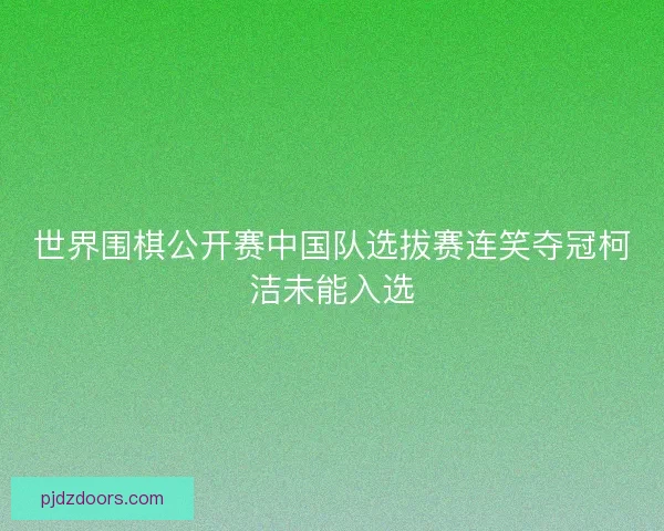 世界围棋公开赛中国队选拔赛连笑夺冠柯洁未能入选 世界围棋公开赛中国队选拔赛连笑夺冠柯洁未能入选